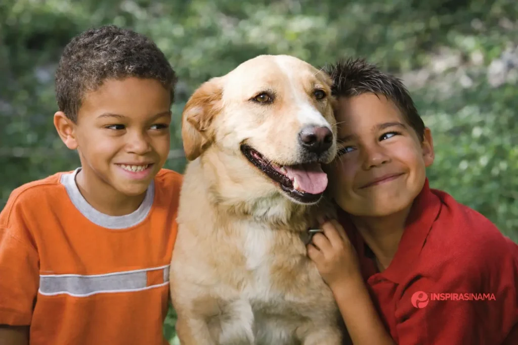 200 Nama Anjing Lucu